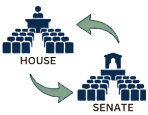 House and Senate Icon