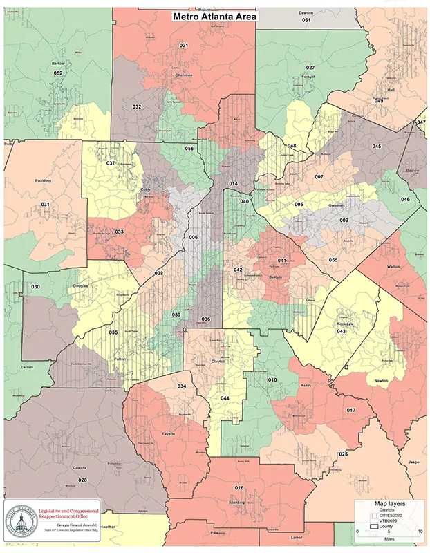 Georgia State Senate - <small>Metro Atlanta</small>